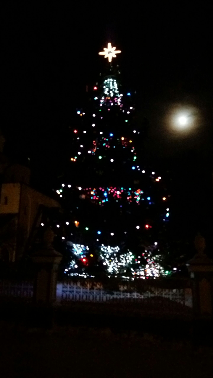 christmas tree