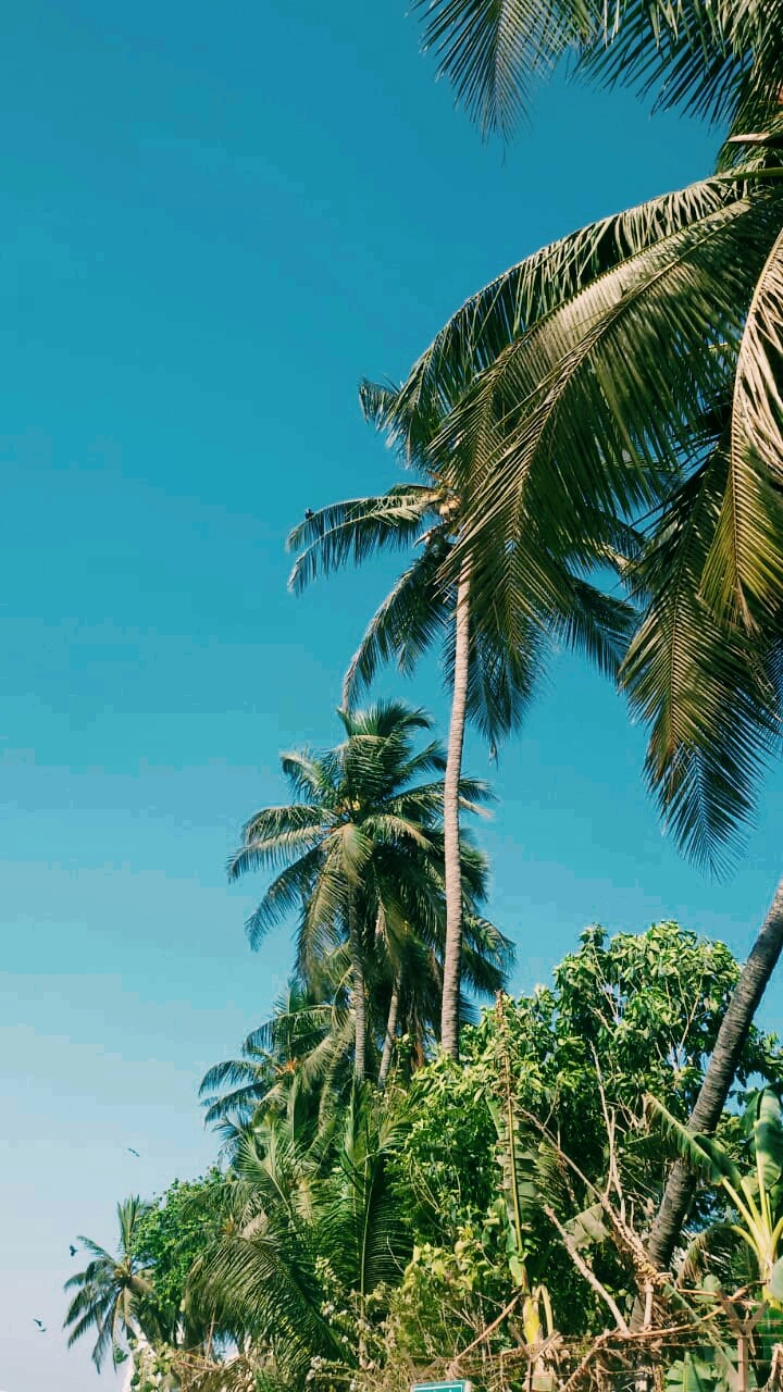 Peace