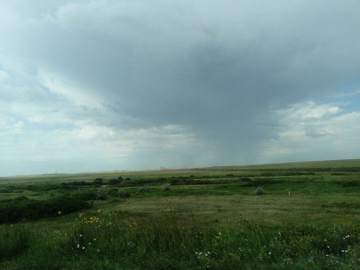 поле, field