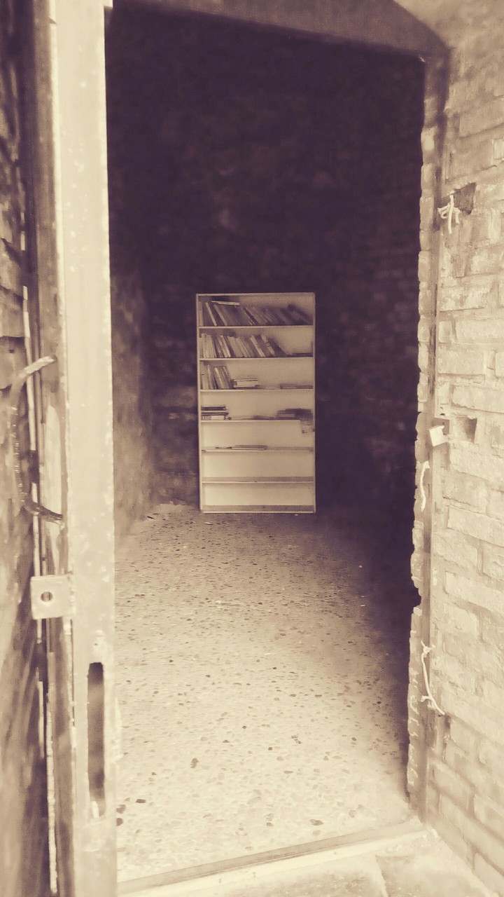 Public Bookcase - Bratislava Walls