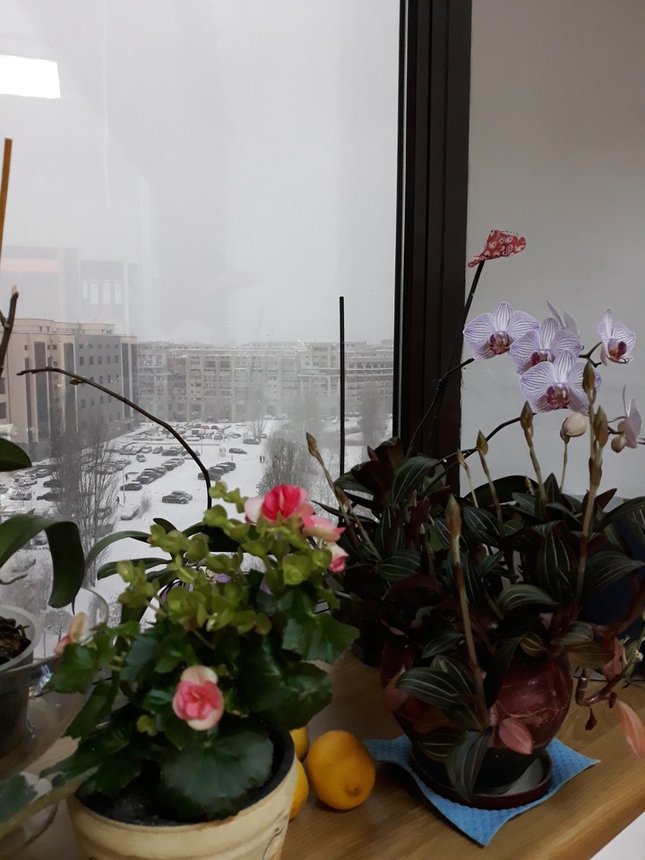 Bucuresti office