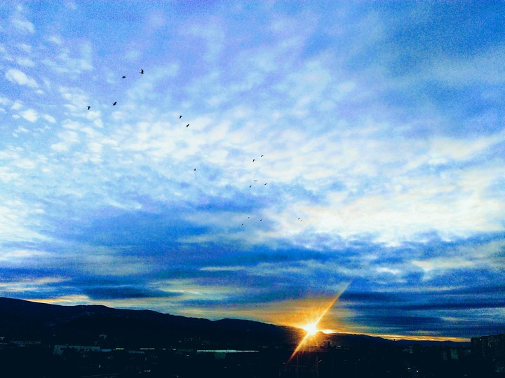 vt