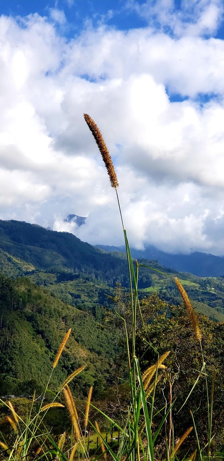 Naturaleza