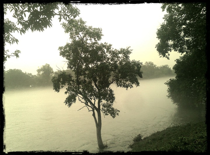 morning view