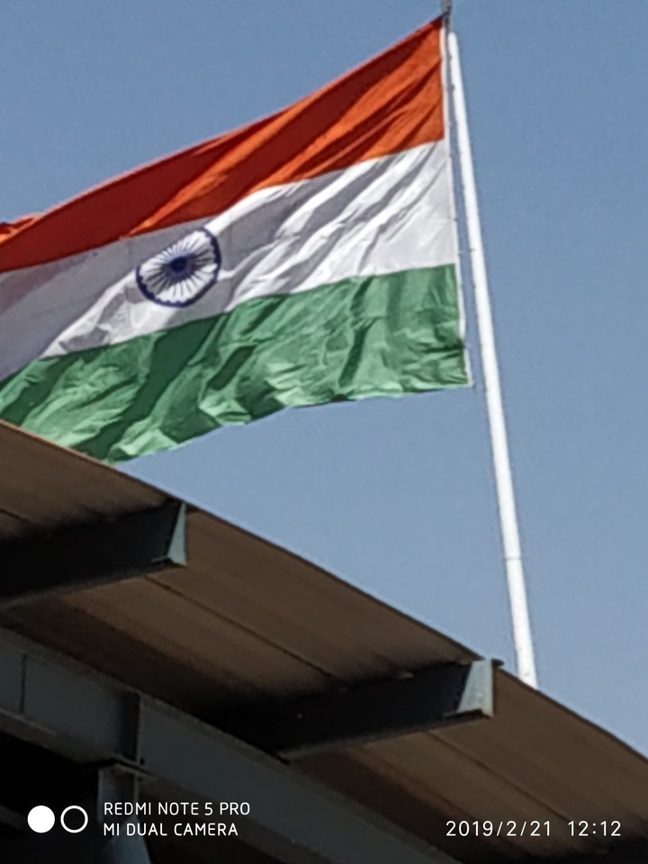 indian ?