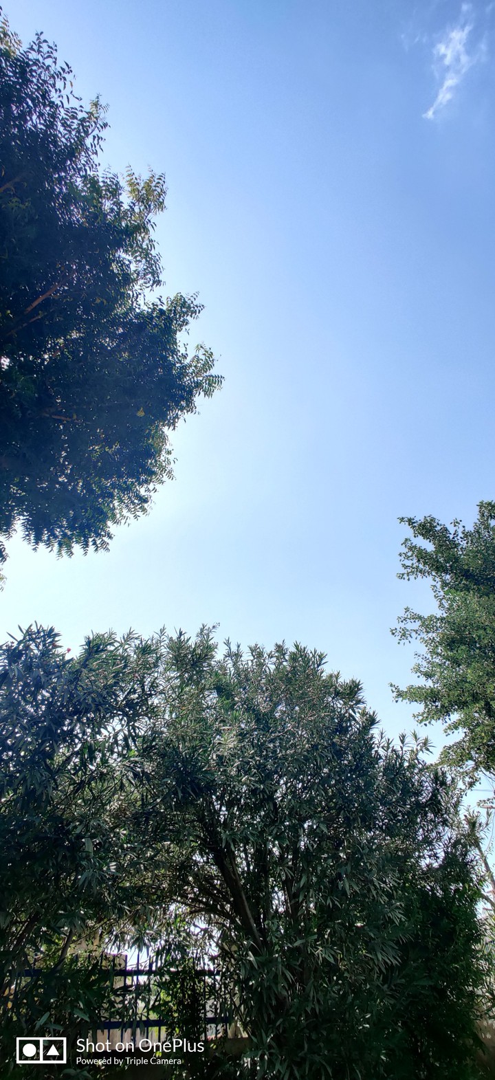 sky