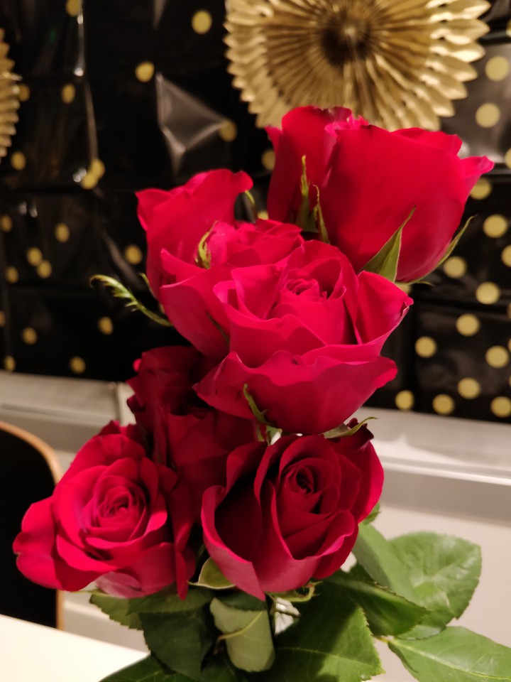 Red Roses
