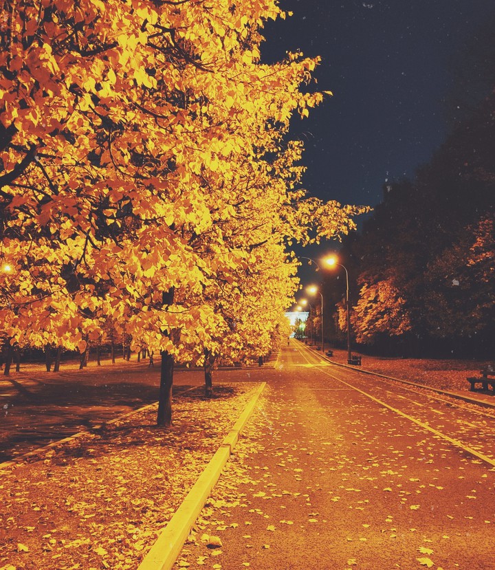 autumn ?