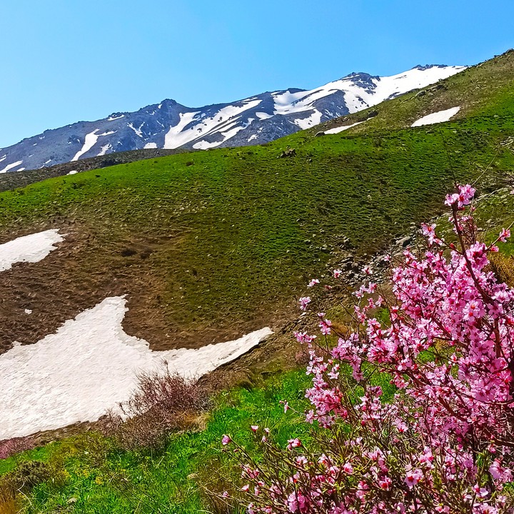 nature