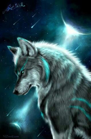 wolf
