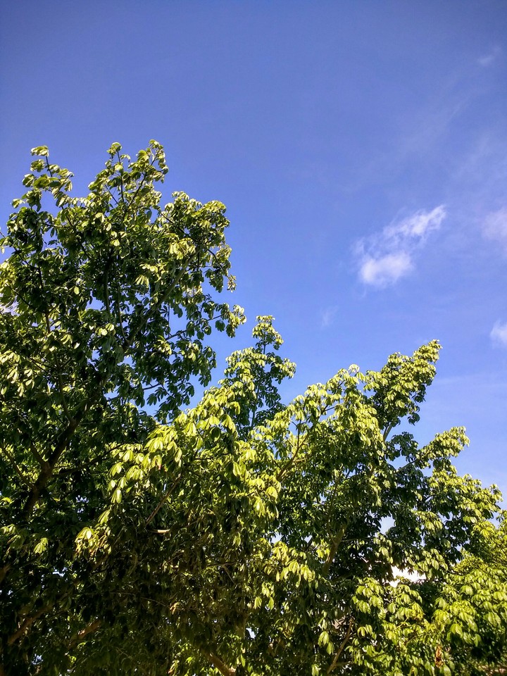 Cielo Azul