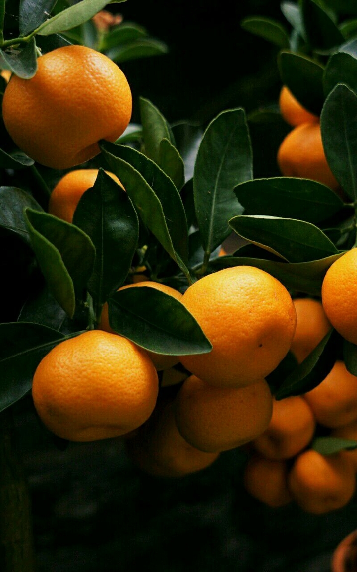 orange