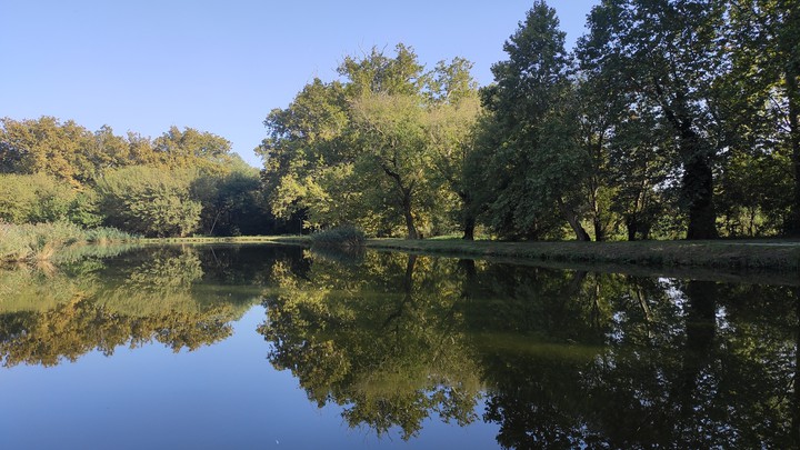 Cifrakert, Szabadbattyán