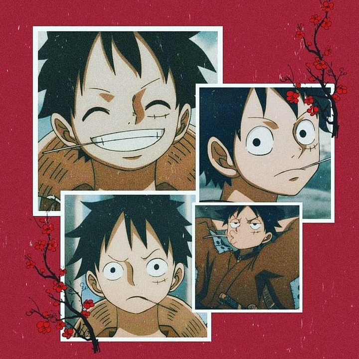 Luffy. (ㆁωㆁ)