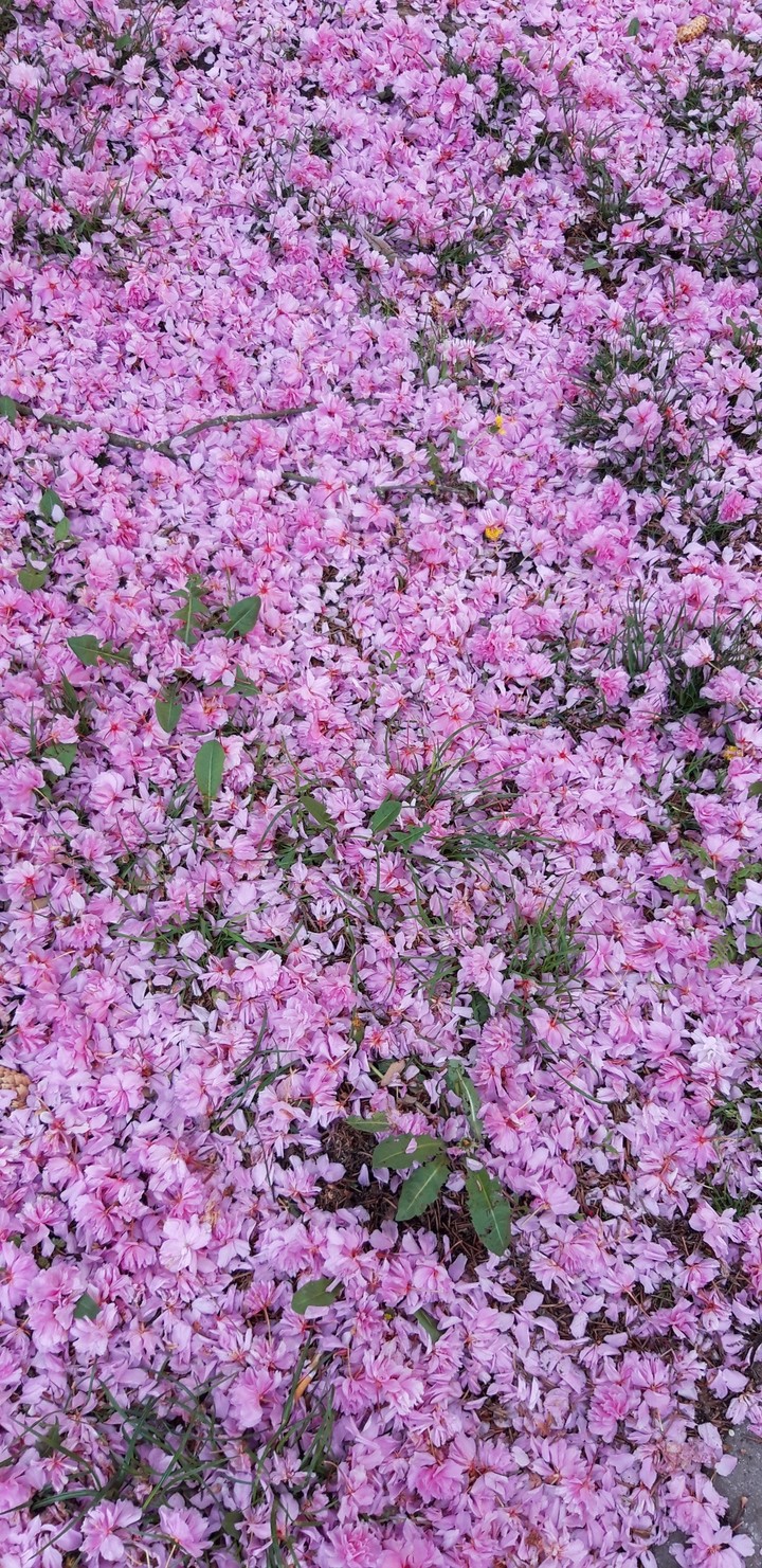 May