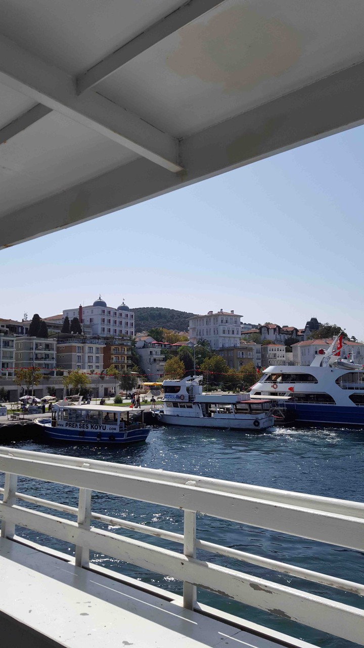 Büyük Ada, Türkiye