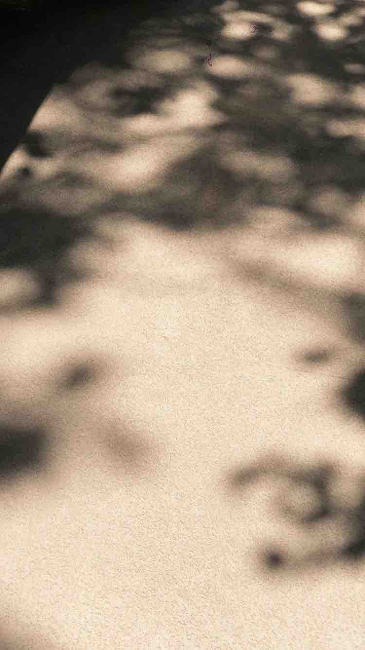 Summer shadows