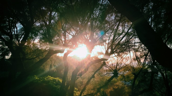 Summer#Sunny#BeautifulDay