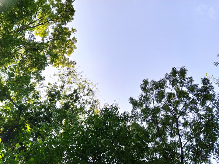 Nature sky
