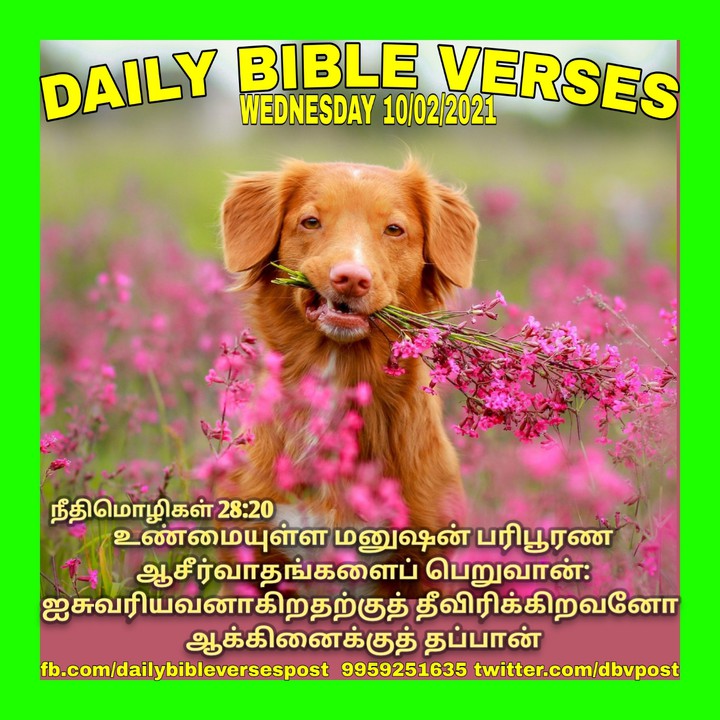 Praise The Lord. Amen ?