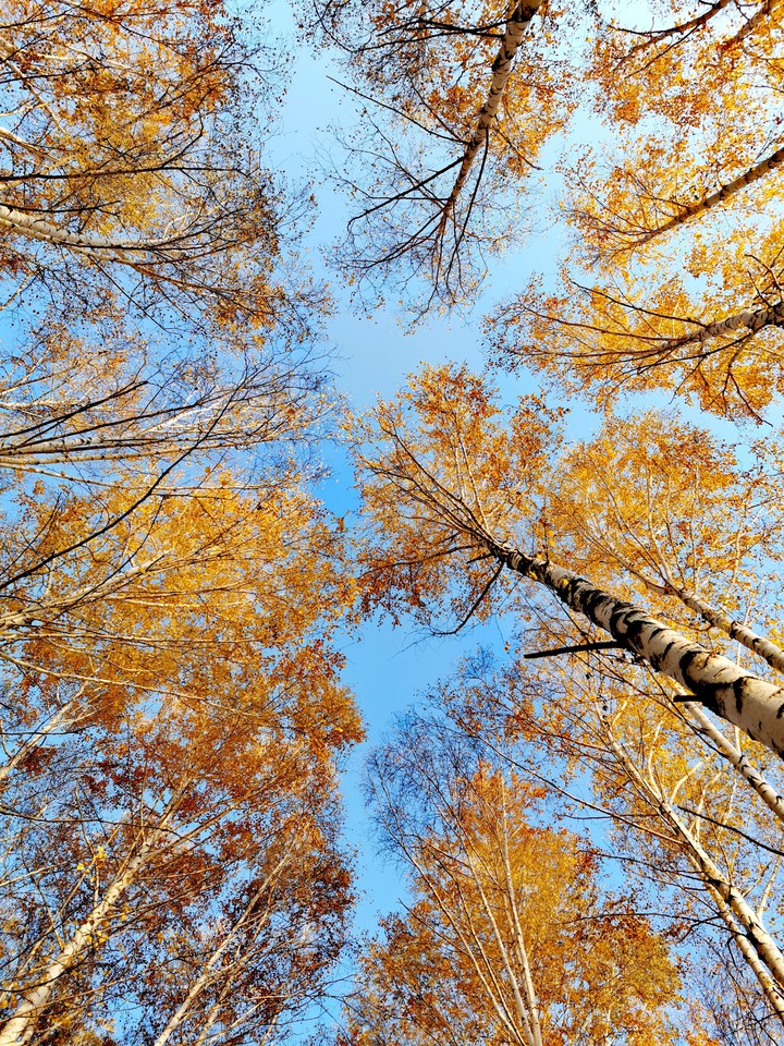 Autumn sky