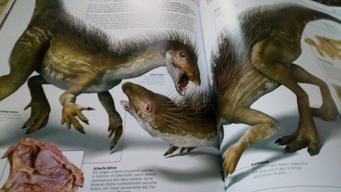 dinos