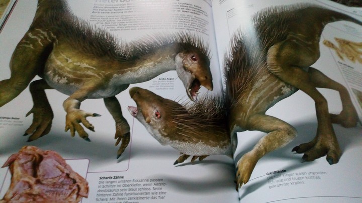 dinos