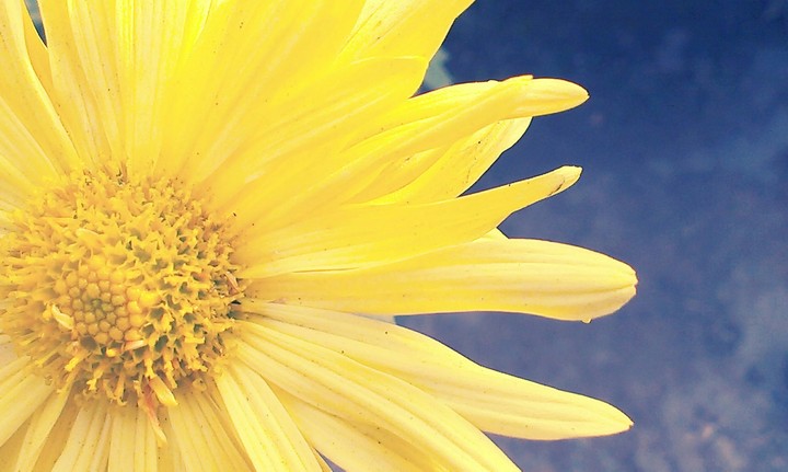 Bright as sun