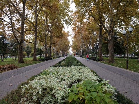 alley Krasnodar