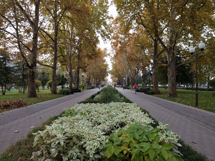 alley Krasnodar