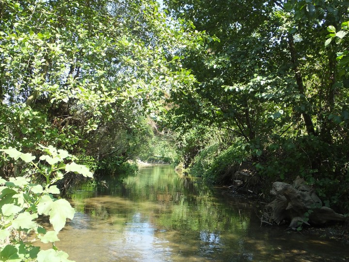 kadrajimdan