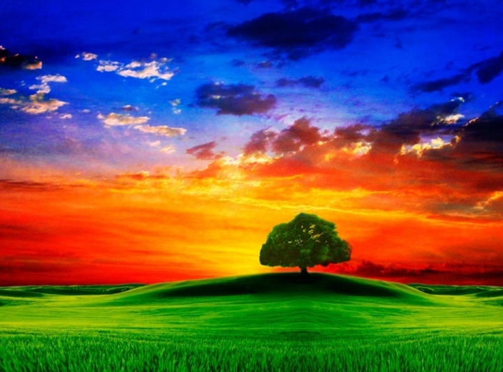 Nature ❤️❤️❤️