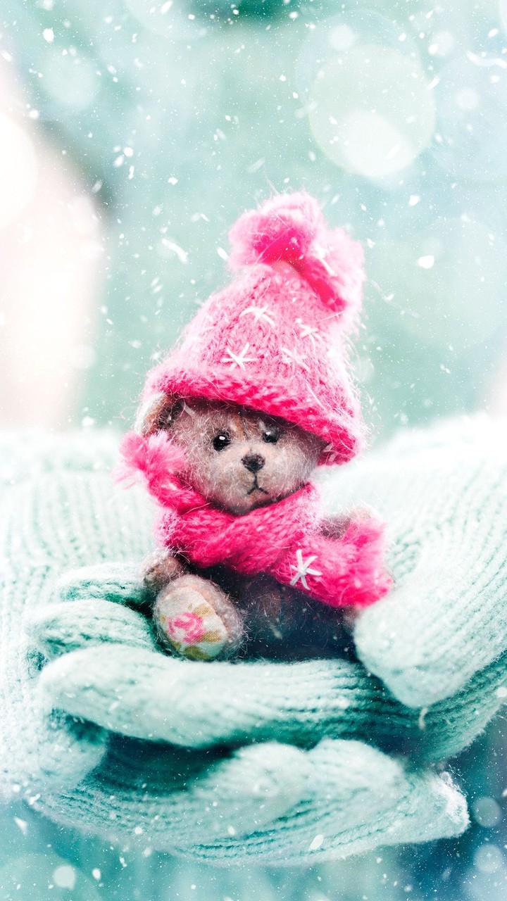 Tedy bear