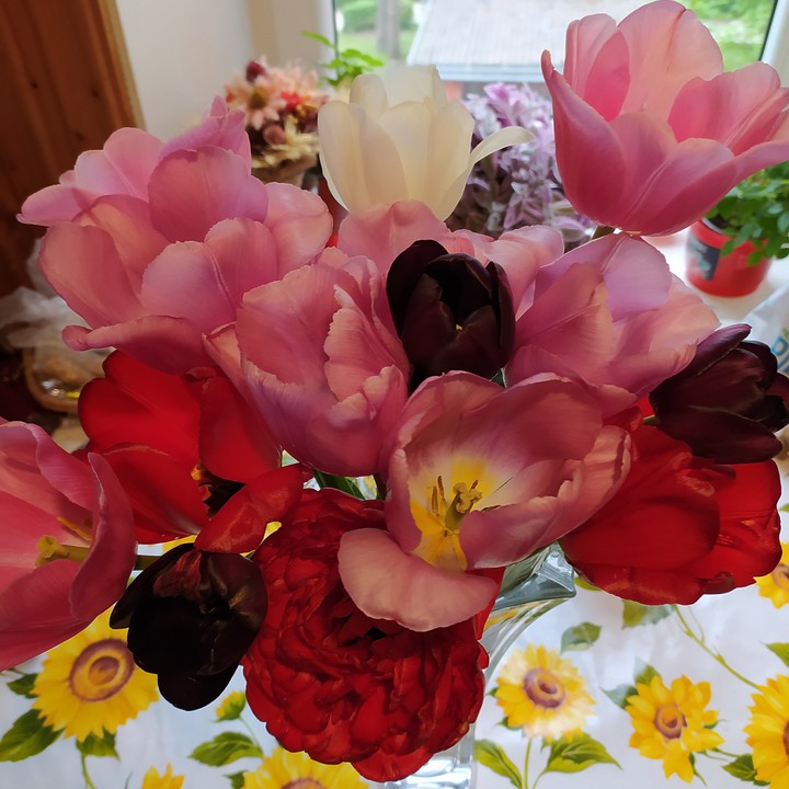 bunch of flowers