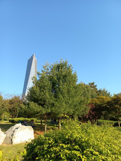 sfondi shrub, obelisk