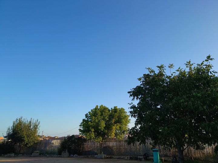 Día de Campo