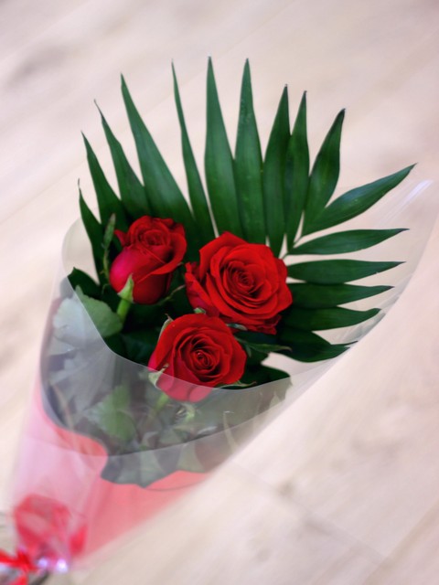 sfondi Roses, весна