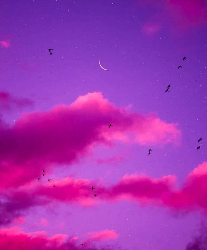 pink sky