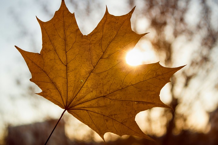 Autumn 0.1