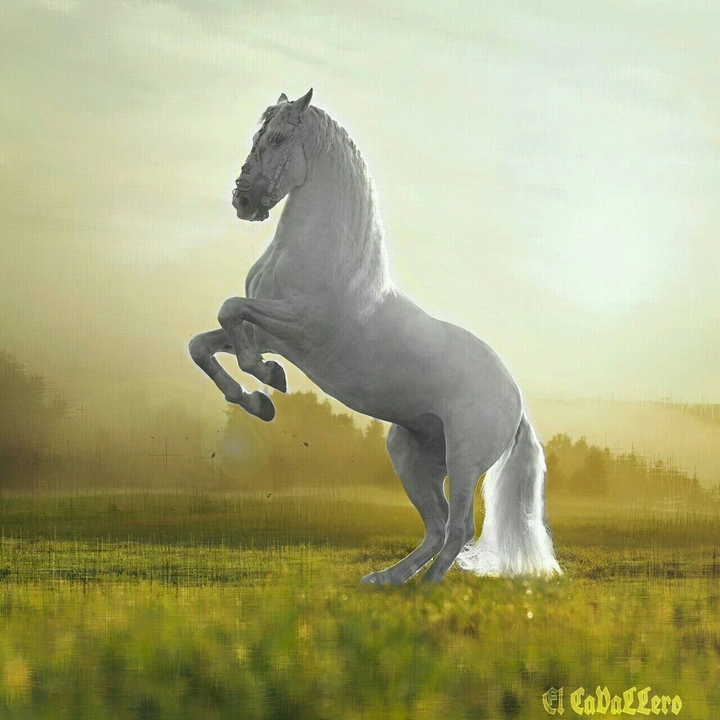 White Horse