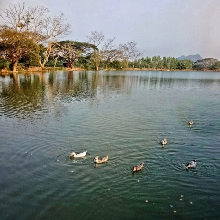 On the Water 7