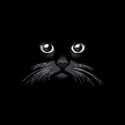 чёрная кошка