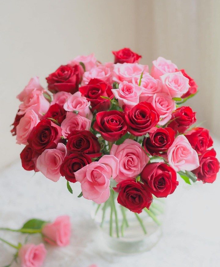 beauty...