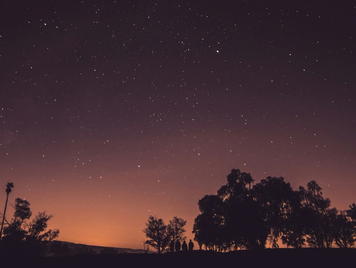 Stars on the Night