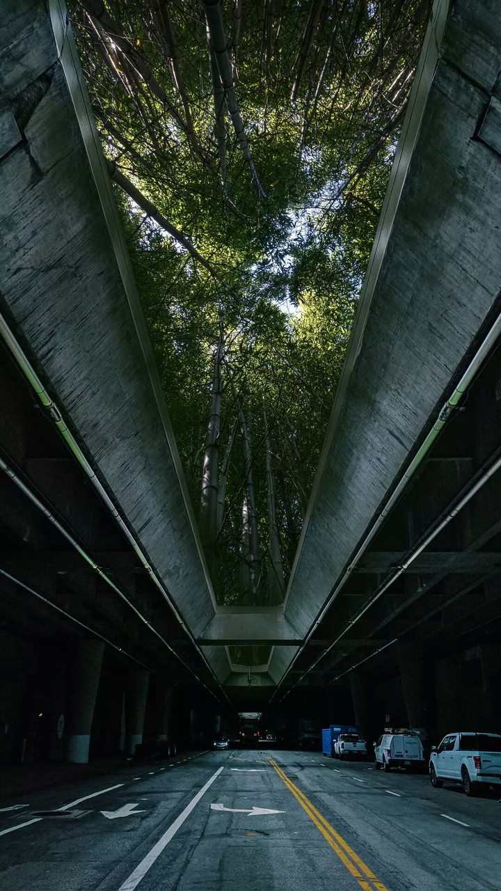 in Forrest