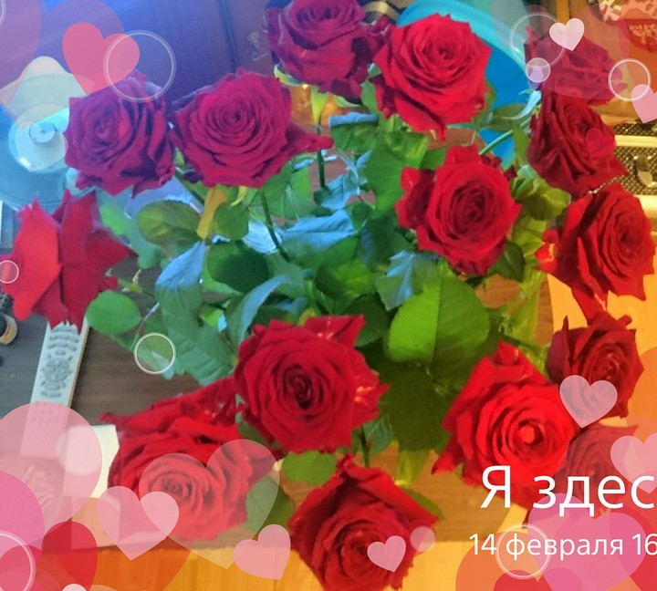 розы