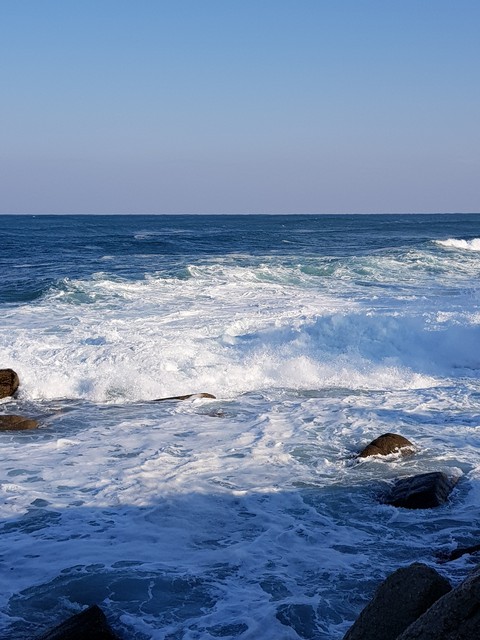 winter wave