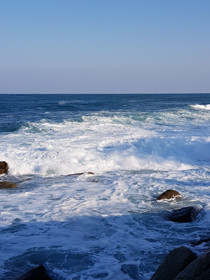 winter wave
