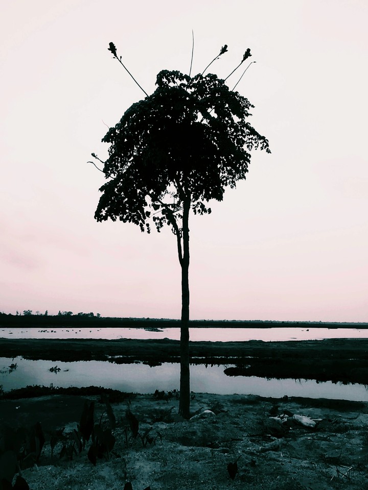alone