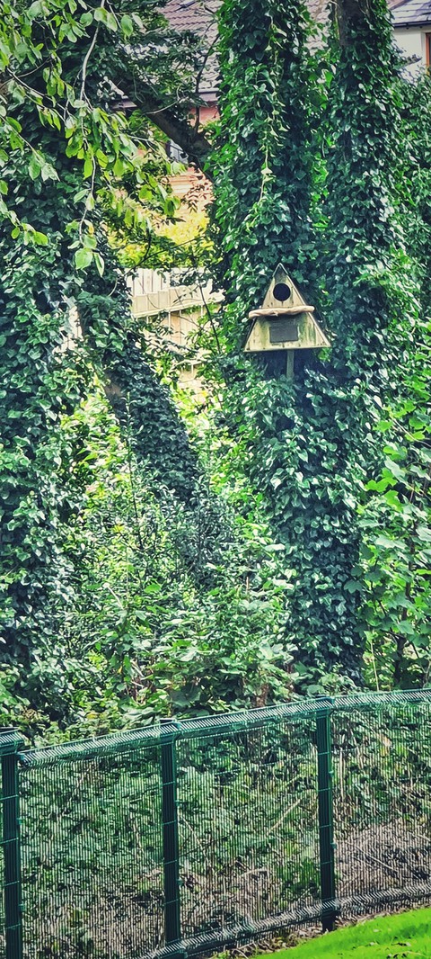 tree house